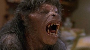 An American Werewolf in London - An American Werewolf in London