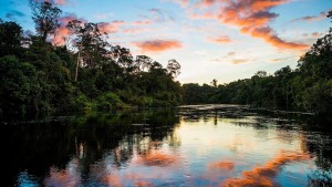 Những Dòng Sông Hùng Vĩ Trên Trái Đất - Earth's Great Rivers